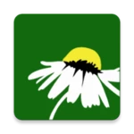 Logo of Heilpraktiker Schule android Application 